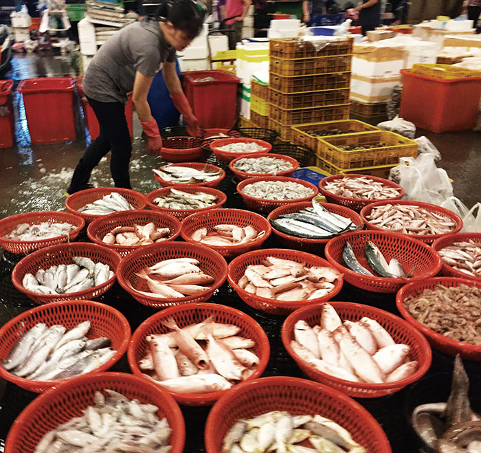 Cianjhen Fish Market Vibrant at 3 o'clock in the Morning
