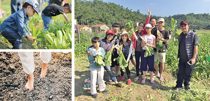 Farmer Siao Introduces Meinong's Agricultural Industry