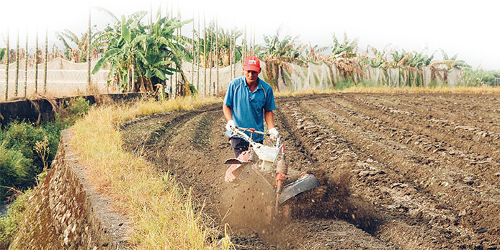 Farmer Siao Introduces Meinong's Agricultural Industry