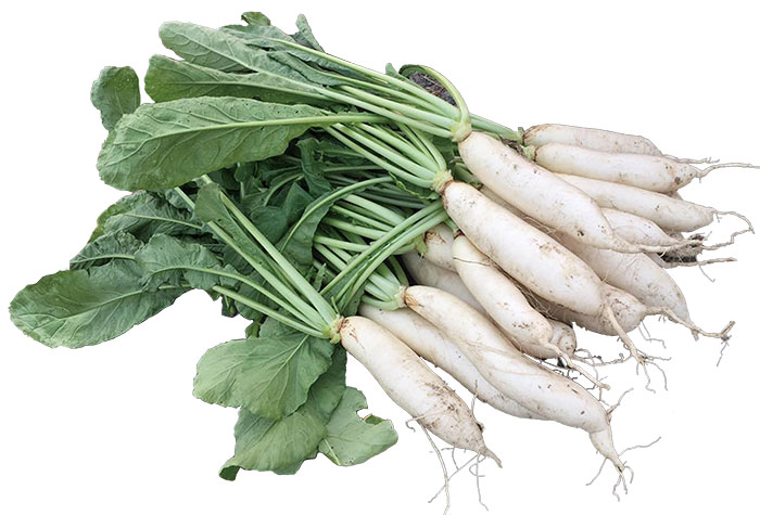 Farmer Siao Introduces Meinong's Agricultural Industry