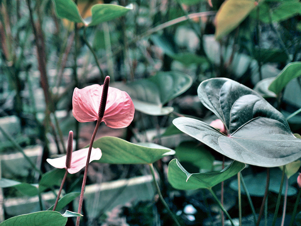 Neimen District Turning Badlands into Modern Legend