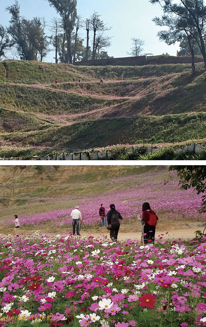 Shuanghu Forest Park