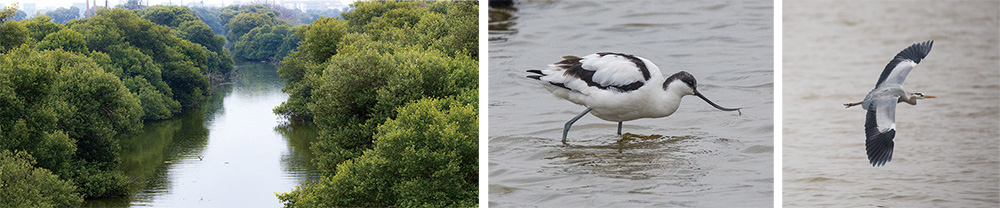 静謐な風景と強靭な生命――永安、永らく加護を受けてきた安らかなる民
