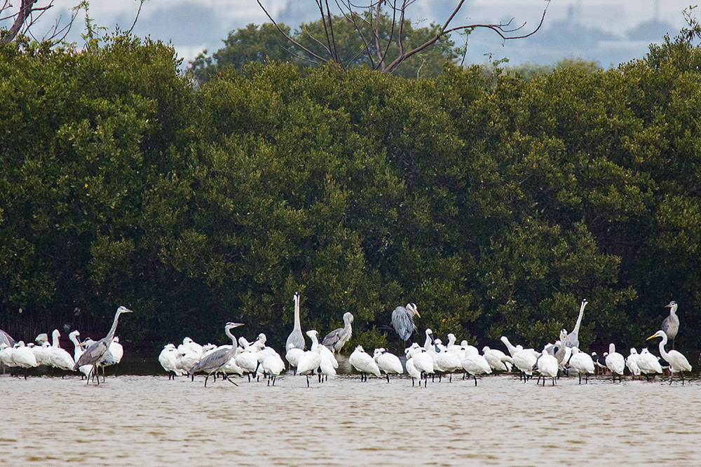 静謐な風景と強靭な生命――永安、永らく加護を受けてきた安らかなる民