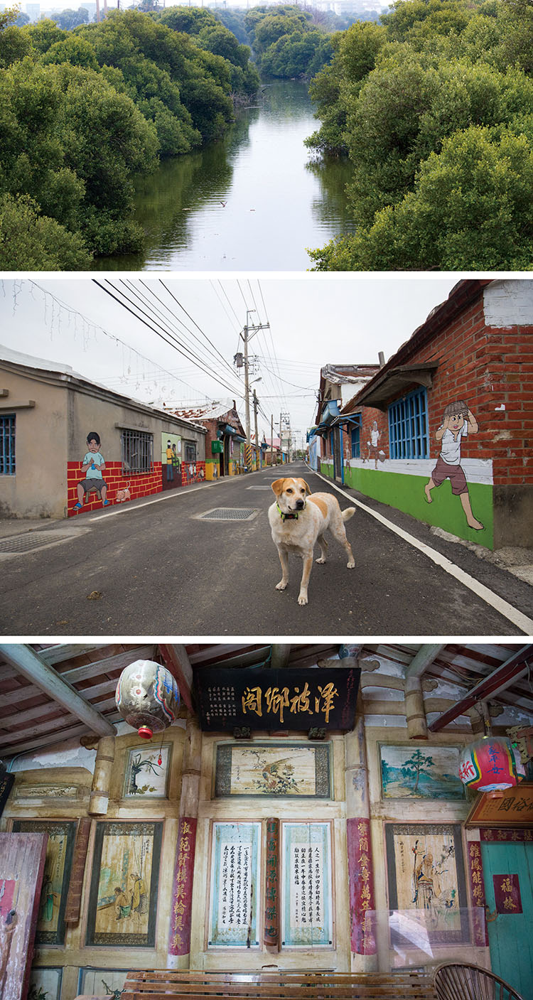 Fish, Salt & Spoonbills: Yongan