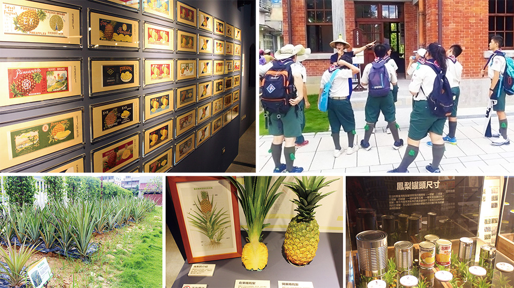 Taiwan Pineapple Museum