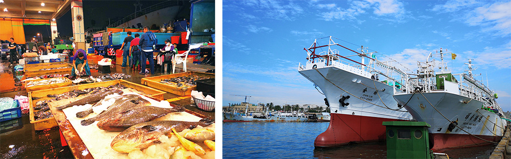 新しく生まれ変わった前鎮の第一歩