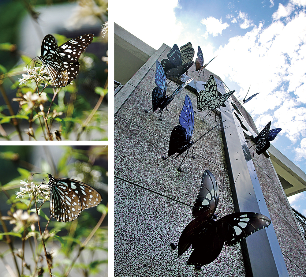 誰もが夢中になる茂林の風景