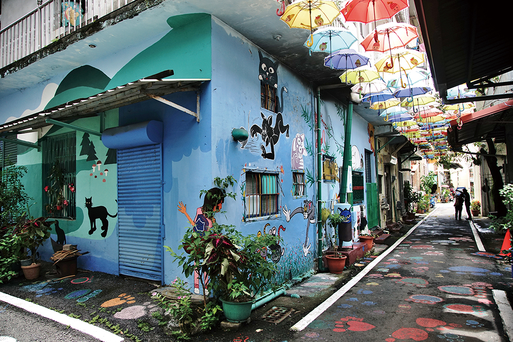 Camphor Trees Recall Jiasian's Captivating History