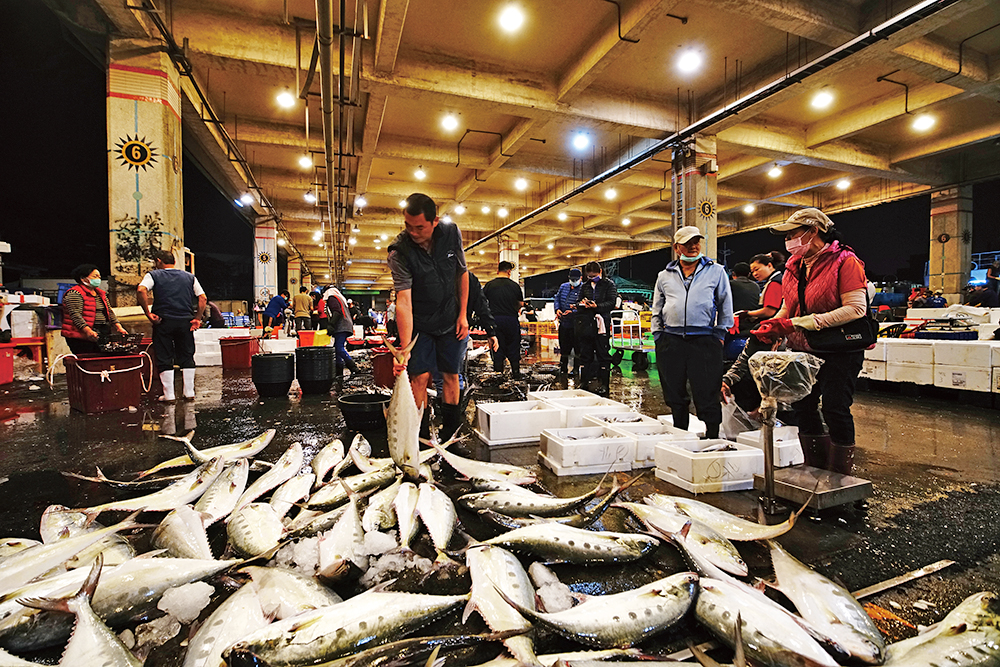 前鎮漁港 早朝限定の魚市場の風景