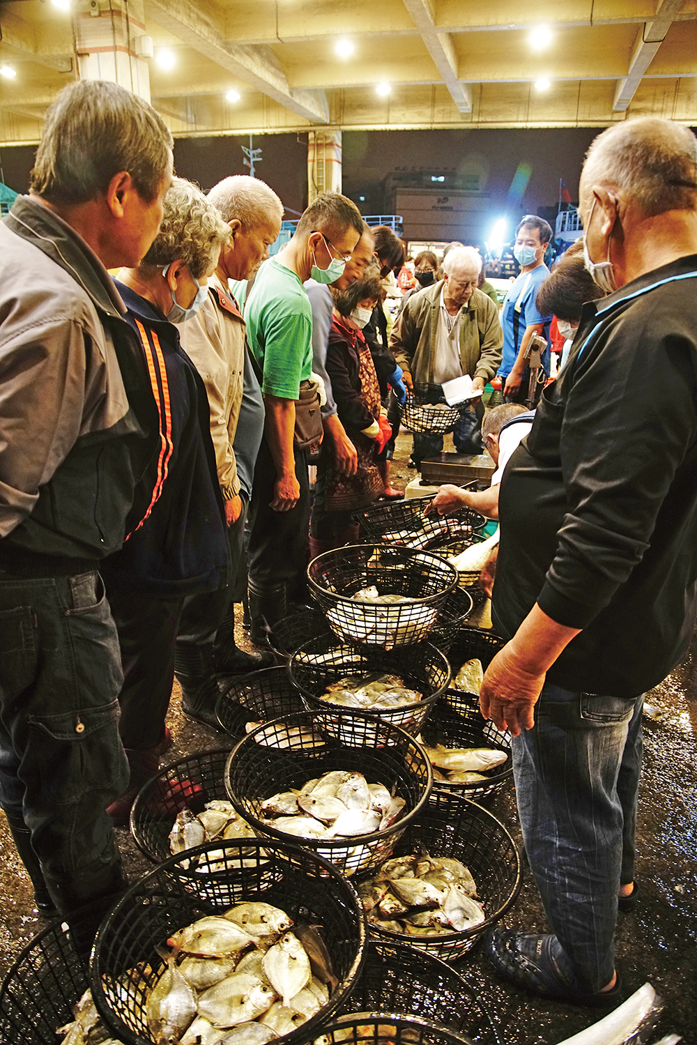 前鎮漁港 早朝限定の魚市場の風景