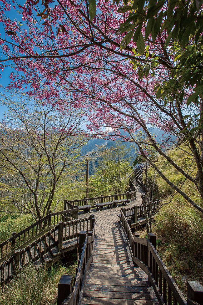 天池―海抜2,280メートルの風景