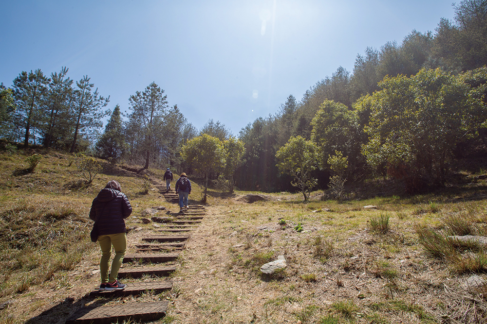 Taoyuan District's Scenic Areas