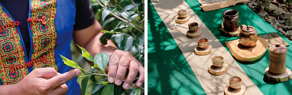 山上の極楽―茶席と温泉の旅