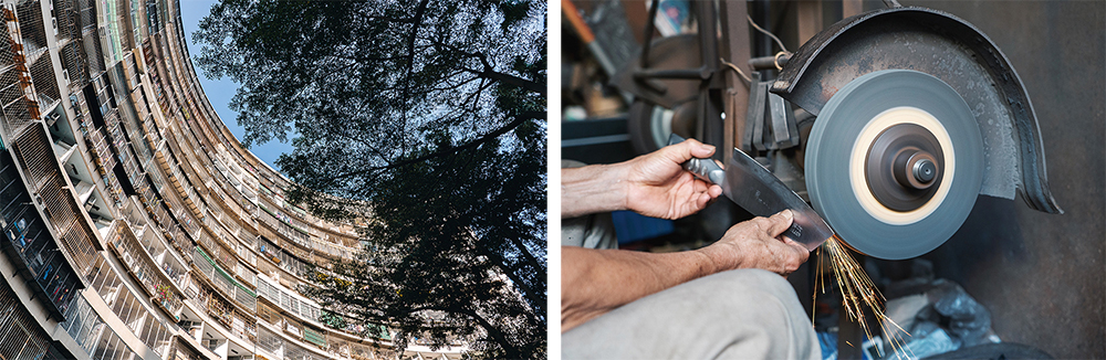 Photos courtesy of Hong Li