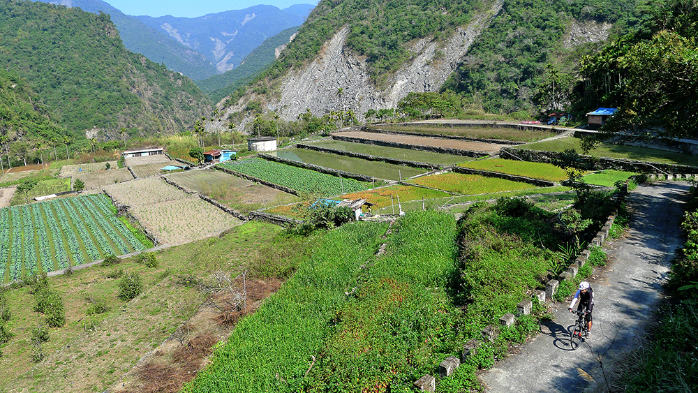 Photos courtesy of Eddie