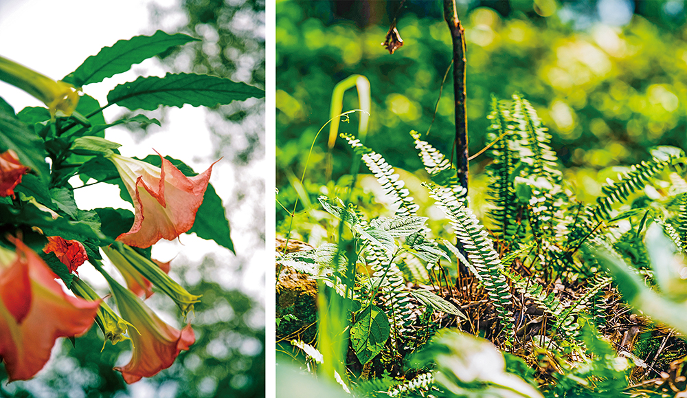 撮影／曾信耀(左）陳建豪（右）