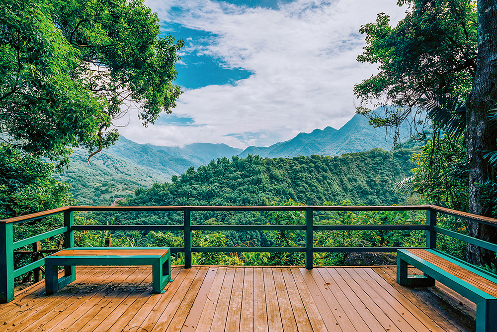 Photos by Chen Jian-hao