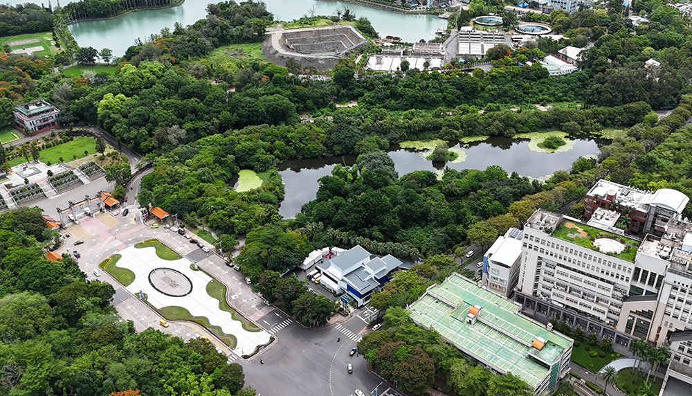 漫步都會生態系 體驗鳥松濕地與澄清湖的自然協奏曲