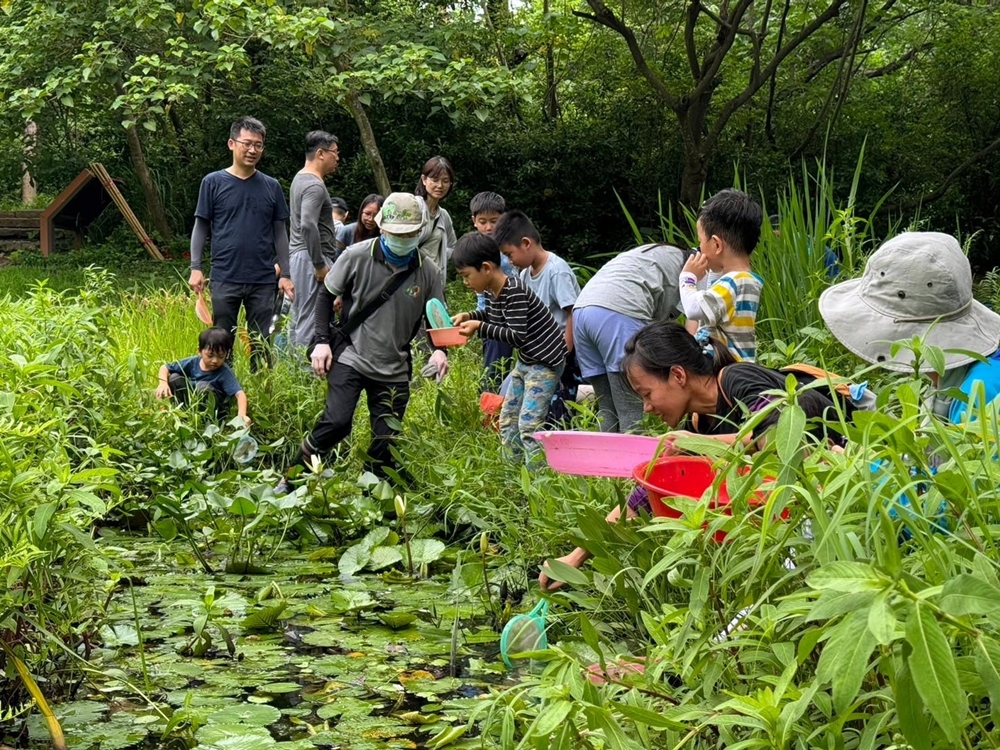 鳥松濕地由社團法人高雄市野鳥學會認養管理，每週日舉辦導覽，並定期舉辦生態講座和手作、種植水稻、夜間觀察、釣除外來種魚類等體驗活動。(上：圖片提供/社團法人高雄市野鳥學會、下：攝影/李瑰嫻)