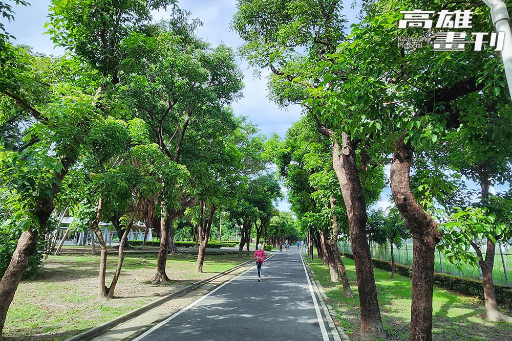 自行車道兩旁種植茄苳樹，優美綠意與環境吸引許多市民來運動、騎車與遛狗。(攝影/李瑰嫻)