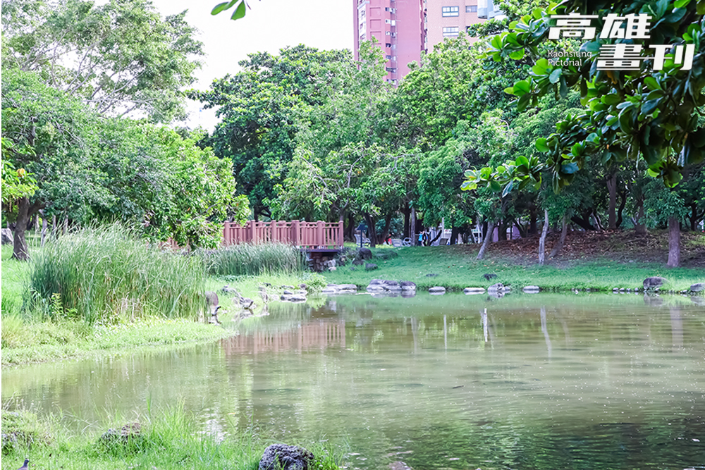 原生植物園的生態池及海岸林區。(攝影/李瑰嫻)