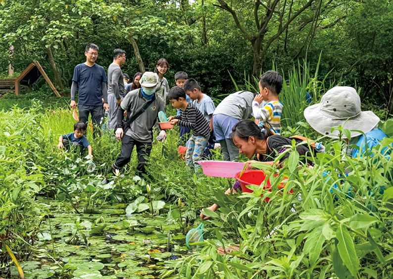 Photo courtesy of Kaohsiung Wild Bird Society