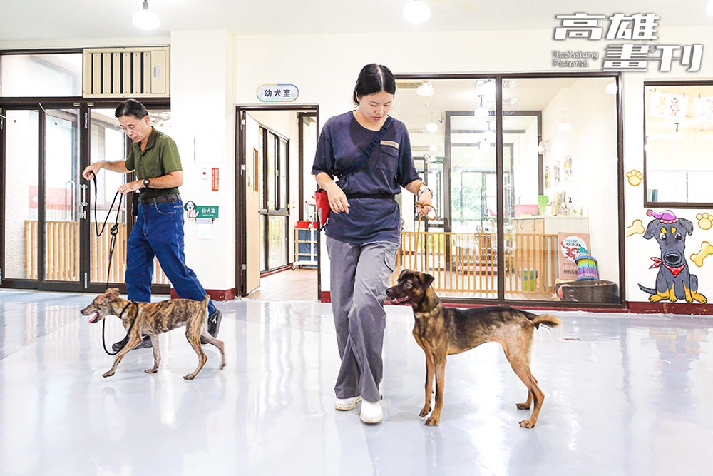 高雄燕巢動物保護園區。(攝影/Carter)