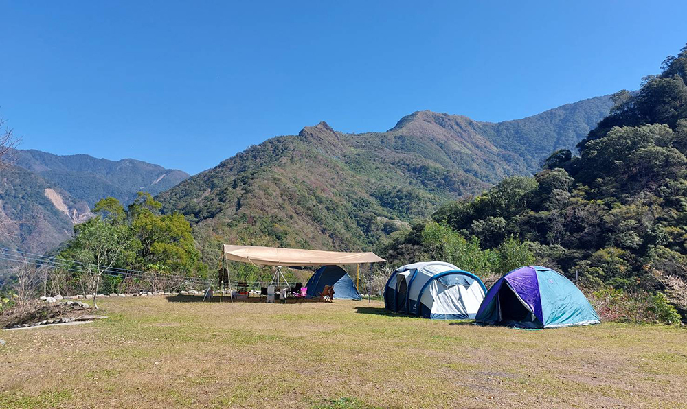 在梅樹下露營野餐，如身處在日本櫻花園一樣浪漫。(圖片提供/梅園野營秘境)