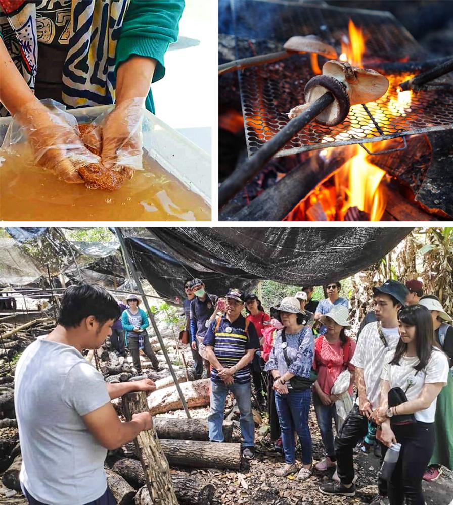 營地也有洗愛玉、製作標本、砍材生火等體驗，可以感受布農族的文化魅力。(圖片提供/梅園野營秘境）