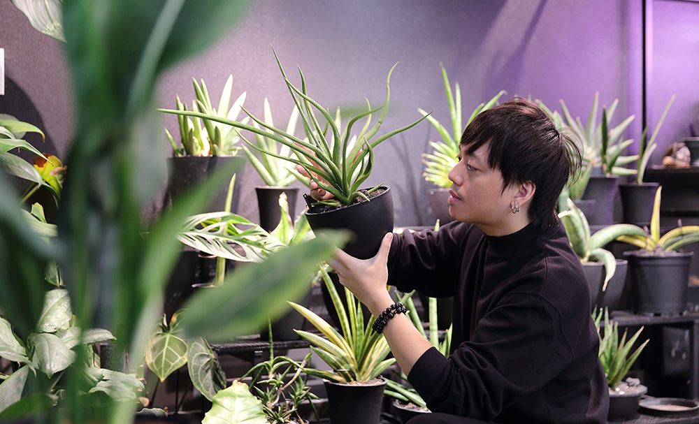 植感生活 在花草間尋找生命力