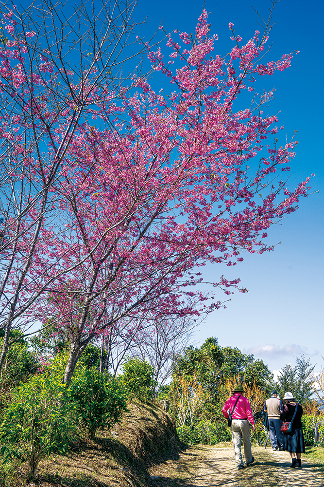 Photo by Huang Jing-wun