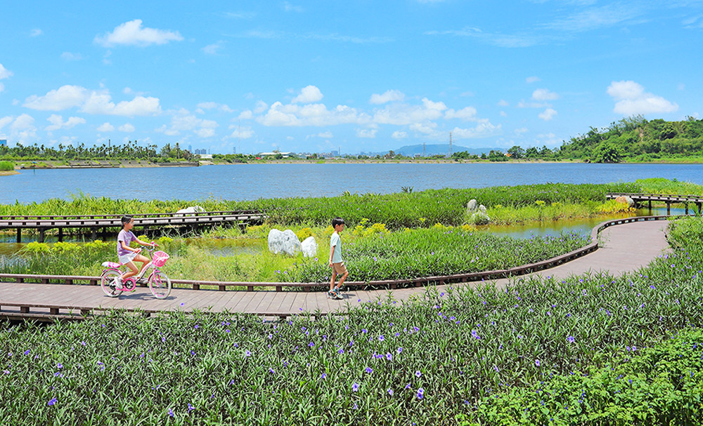 新亮相觀音湖環湖步道 漫步水面探索生態樂園