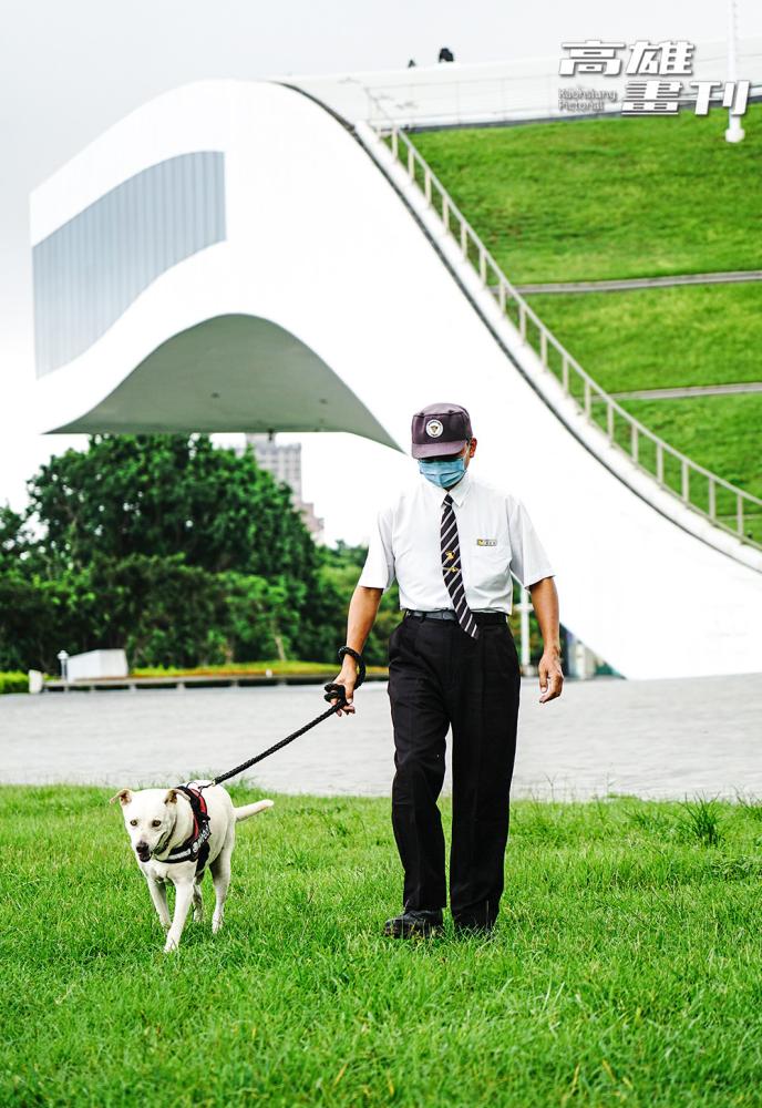 衛武營巡邏犬小隊中的小白，每次外出巡邏時間，總會吸引民眾與之互動。(攝影/曾信耀)