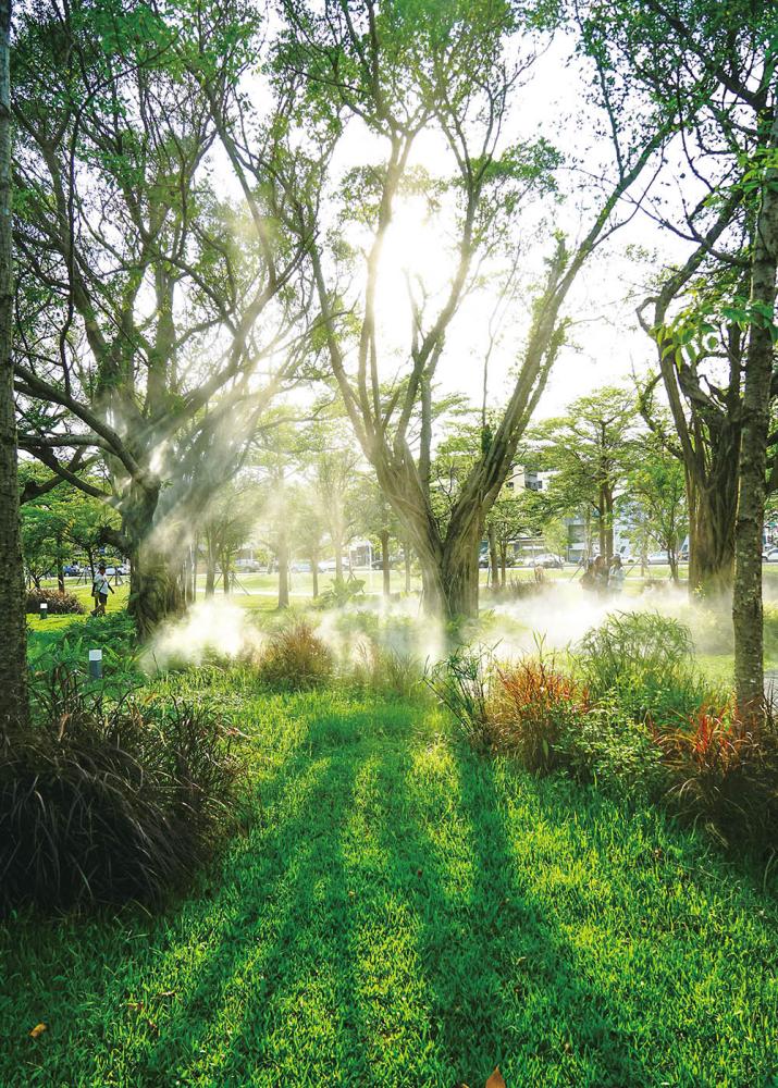 Neiwei Forest Waterway (Photo by Zeng Sin-yao)