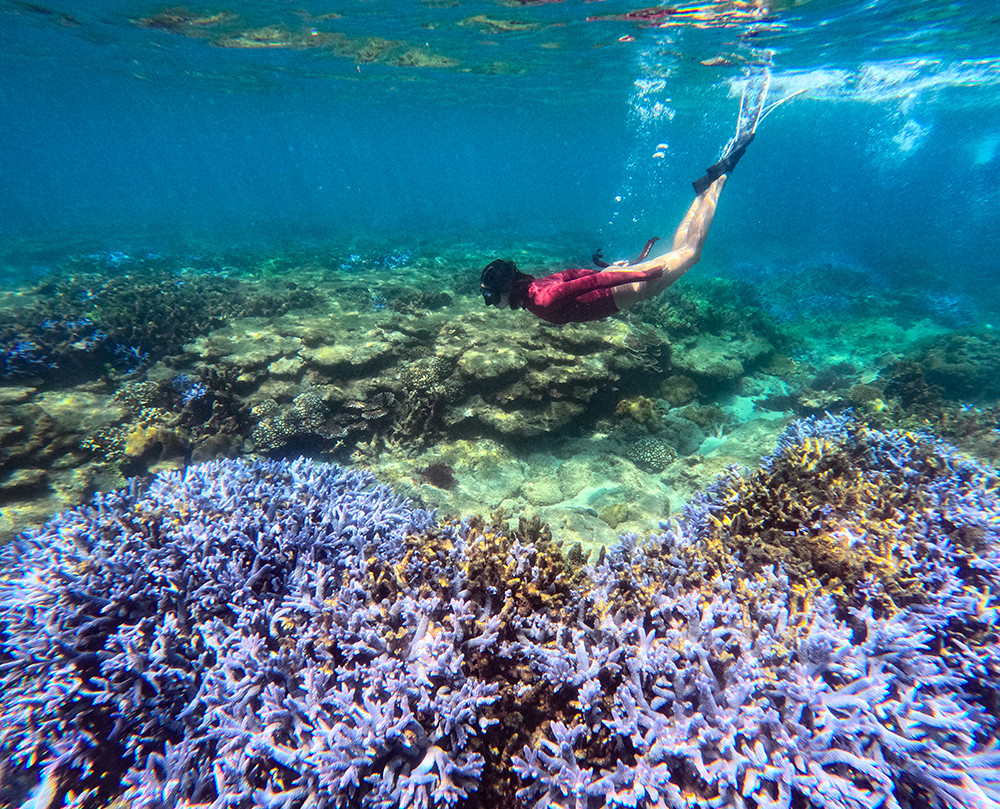 愛上蔚藍大海的黃瀞瑩，以自身水上運動經驗及珍愛海洋的理念為出發點設計泳裝。(圖片提供/黃瀞瑩)