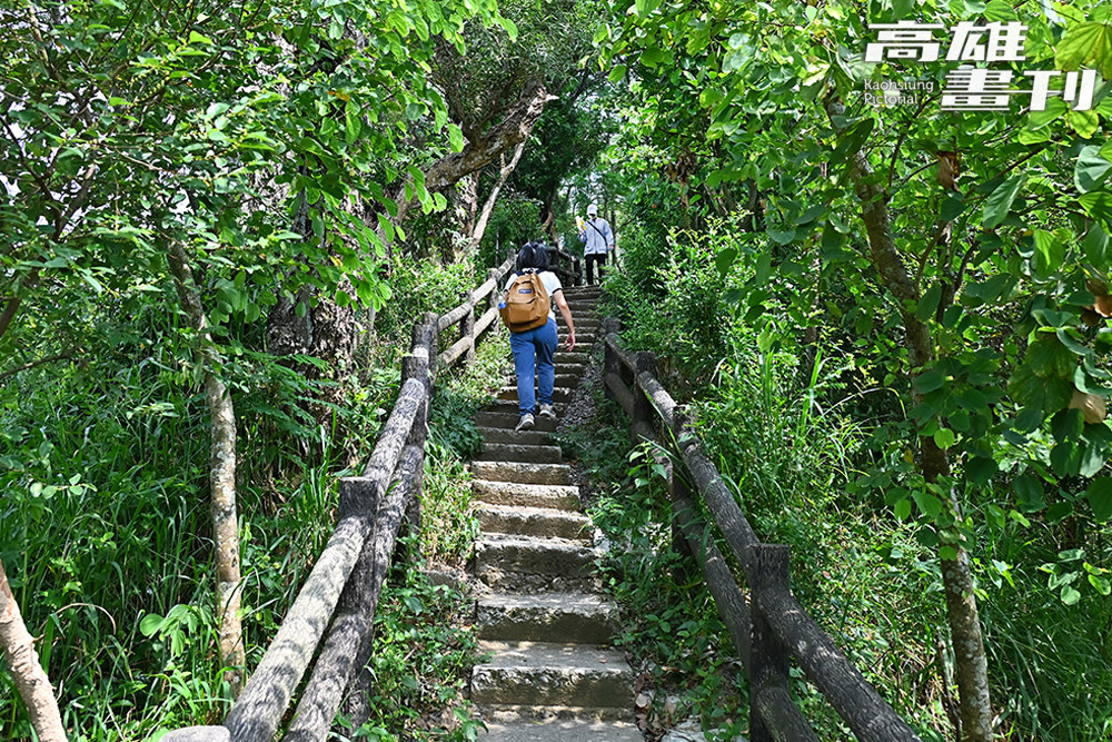 大社觀音山步道是相當親民的低海拔郊山步道，主要為階梯步道。(攝影/Carter)