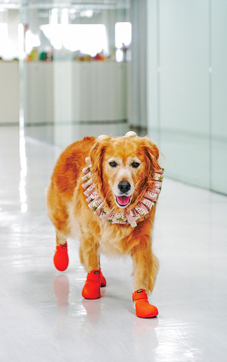 Photo by Tseng Hsin-yao