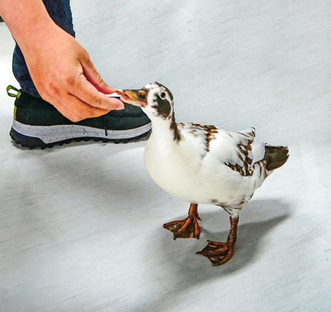 Photo by Tseng Hsin-yao