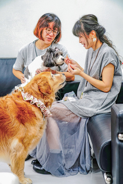 Photo by Tseng Hsin-yao