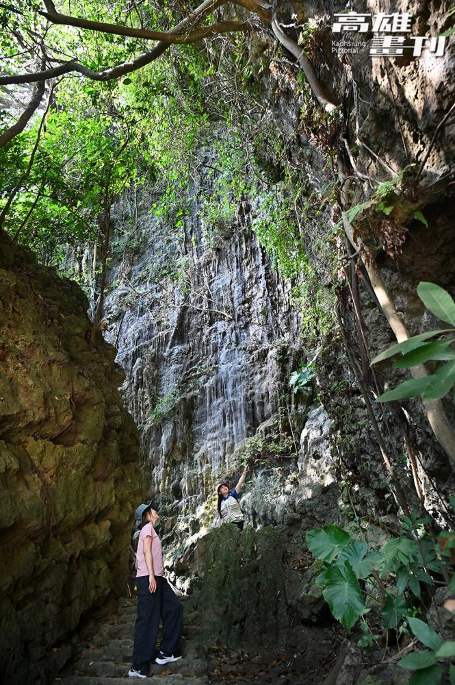 不需辛苦地翻山越嶺，就能走進綠色秘境，吸引許多登山客探秘。(攝影/Carter)