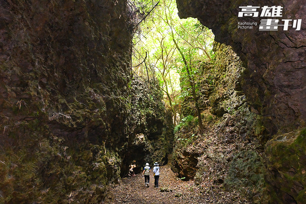 壯觀雄偉的盤龍峽谷彷彿侏羅紀中的原始世界。(攝影/Carter)