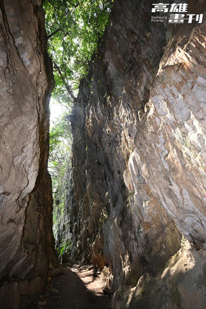停車後僅需步行半小時即可抵達「一線天」，堪稱懶人秘境。(攝影/Carter)