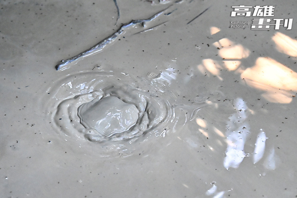 噴泥盆「咕嚕～咕嚕～」不斷冒泡，臺語俗稱「滾水沫」，常被誤認為高溫，其實溫度僅約17至29度。(攝影/Carter)