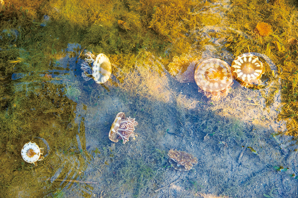 Photo by Huang Jing-wun