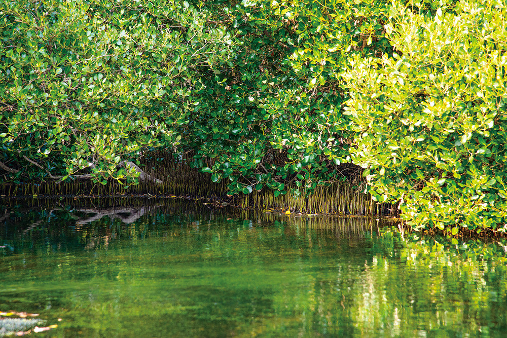 Photo by Huang Jing-wun