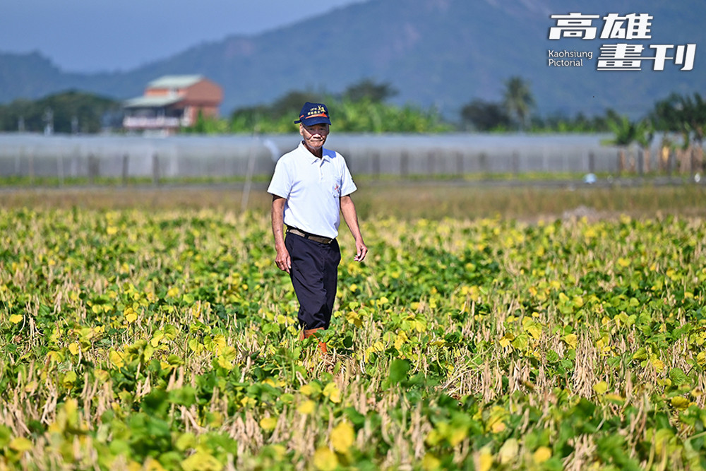 冬天的水稻田改作紅豆，巫璋貴依然穿梭其間，細心守護田裡的辛勤成果。(攝影/Carter)