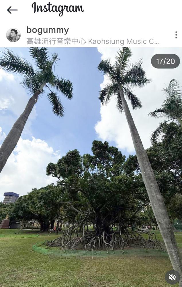 取自朴寶劍IG截圖：朴寶劍到高雄開粉絲見面會「Be With You」時，拍下屬於高雄的記憶，包括中央公園的百年榕樹。