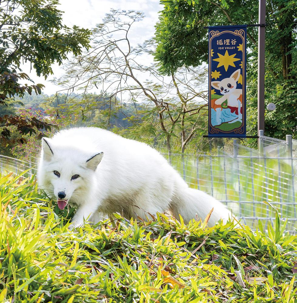 Photo by Huang Jing-wun