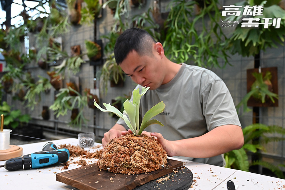在園區內可選擇自己喜歡的鹿角蕨體驗DIY課程，來訪的人親自觸摸泥土與植物，將永續生活的種子播撒進心中。(攝影/Carter)